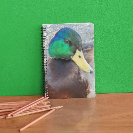 Carnet Canard bleu à tête verte