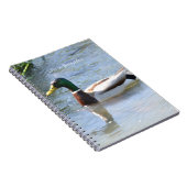 Carnet Canard colvert (ma photographie) (Côté Droit)