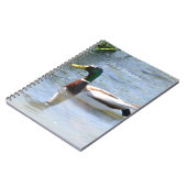 Carnet Canard colvert (ma photographie) (Côté gauche)