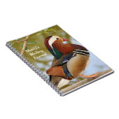Carnet Canard de mandarine (Côté Droit)