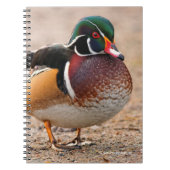 Carnet Canard en bois sur le gravier (Devant)