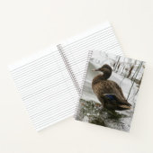 Carnet Canard gris sur la nuit du lac (Intérieur)