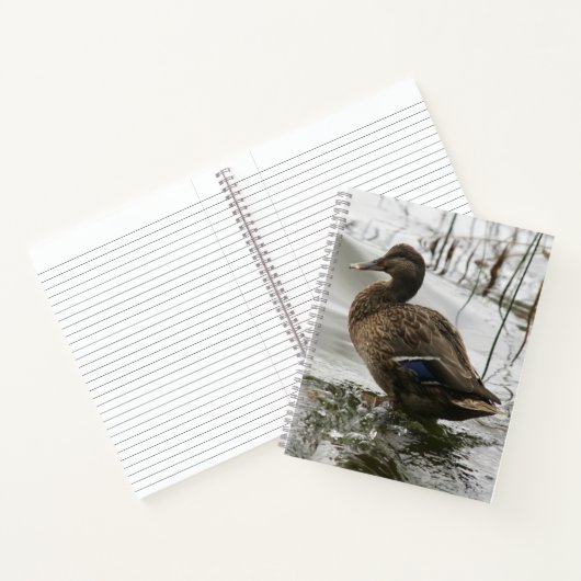 Carnet Canard gris sur la nuit du lac (Intérieur)