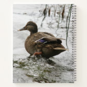 Carnet Canard gris sur la nuit du lac (Dos)