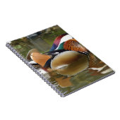 Carnet canard mandarin (Côté Droit)