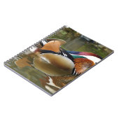 Carnet canard mandarin (Côté gauche)