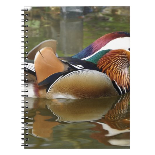 Carnet canard mandarin (Devant)