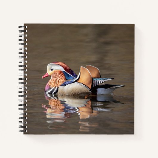 Carnet Canard mandarin (Devant)