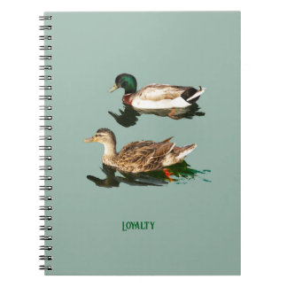 Carnet Canards colverts
