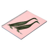 Carnet Canards noirs (Côté gauche)