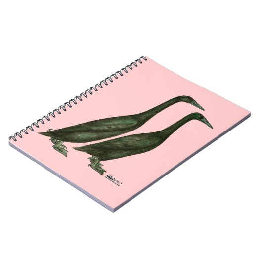 Carnet Canards noirs (Côté gauche)