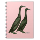 Carnet Canards noirs (Devant)