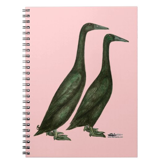 Carnet Canards noirs (Devant)