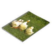 Carnet canards, vivent, prairie, animal, ferme, vie à la  (Côté gauche)