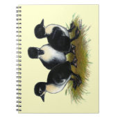 Carnet Canetons suédois noirs (Devant)