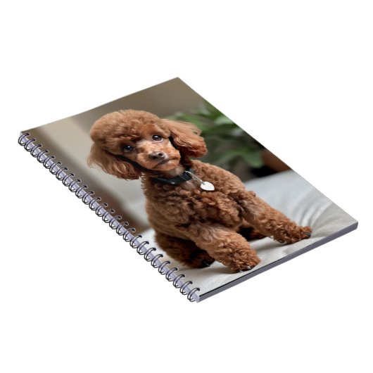 Carnet Caniche nain 2 (Côté Droit)