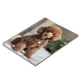 Carnet Caniche nain 2 (Côté gauche)