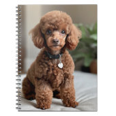 Carnet Caniche nain 2 (Devant)