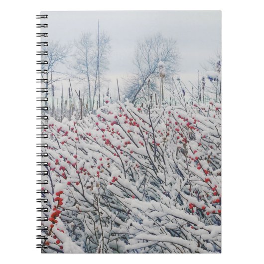 Carnet canneberge et cattelle (Devant)