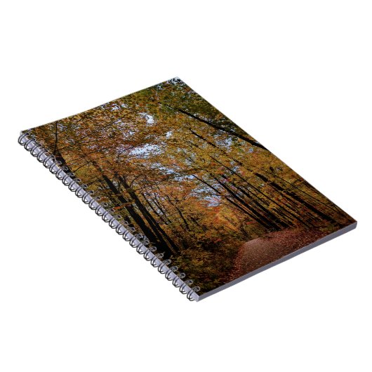 Carnet Canopée d'automne de couleur (Côté Droit)