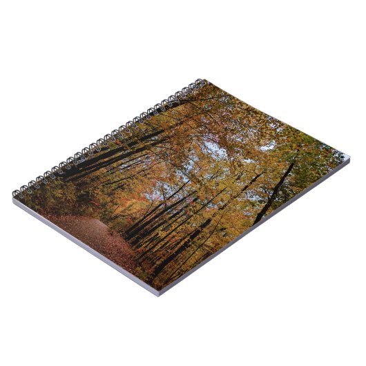 Carnet Canopée d'automne de couleur (Côté gauche)