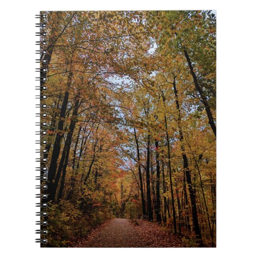 Carnet Canopée d'automne de couleur (Devant)