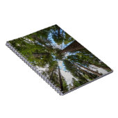 Carnet canopée de sapin de Douglas (Côté Droit)