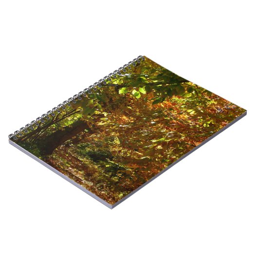 Carnet Canopée des Feuilles d'automne II Photographie d'a (Côté gauche)