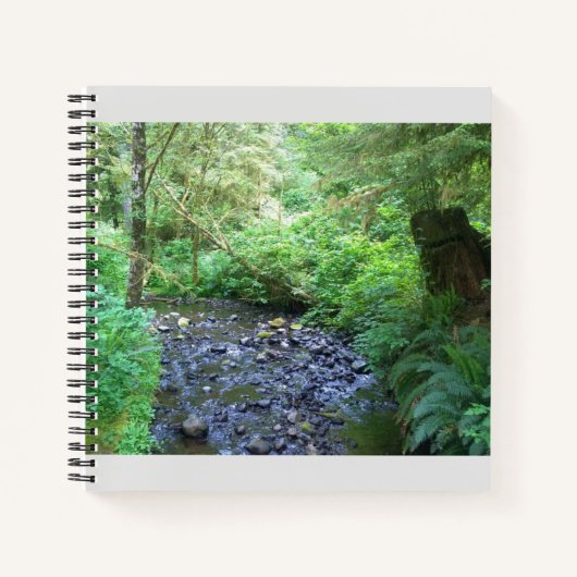 Carnet Cape Creek, Cape Perpetua, Oregon (Devant)