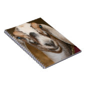 Carnet Caprin blanc de rayure de daine de chèvre de (Côté Droit)