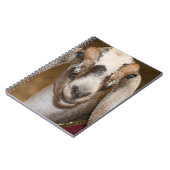 Carnet Caprin blanc de rayure de daine de chèvre de (Côté gauche)