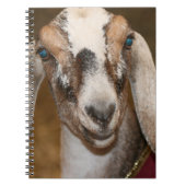 Carnet Caprin blanc de rayure de daine de chèvre de (Devant)