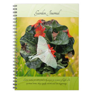 Carnet Captivant Luna Moth