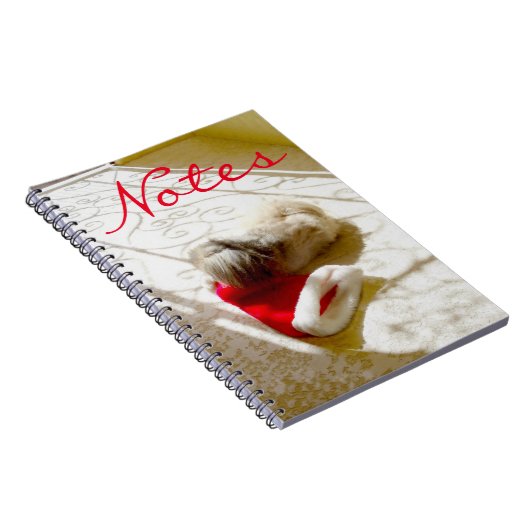 Carnet Captured Santa (Côté Droit)