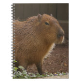 Carnet Capybara (Devant)