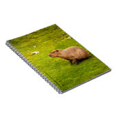 Carnet Capybara (Côté Droit)