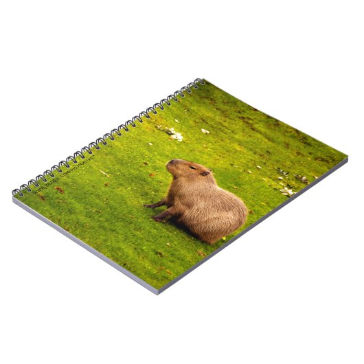Carnet Capybara (Côté gauche)