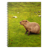 Carnet Capybara (Devant)