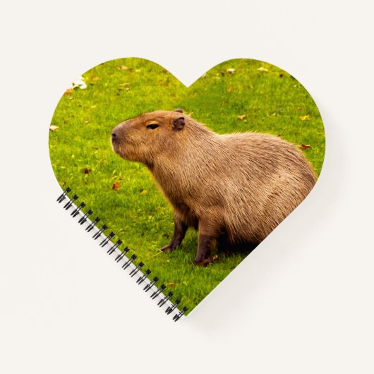 Carnet Capybara (Devant)