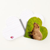 Carnet Capybara (Intérieur)