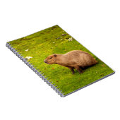 Carnet Capybara (Côté Droit)