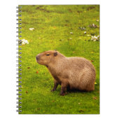 Carnet Capybara (Devant)