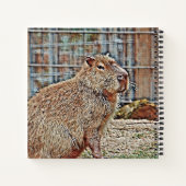 Carnet Capybara (Dos)