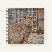 Carnet Capybara (Devant)