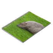 Carnet Capybara Extraordinaire (Côté gauche)