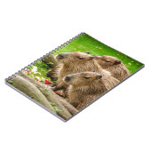 Carnet Capybara Trio (Côté gauche)