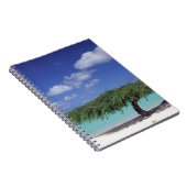 Carnet Caraïbes, Aruba. Plage d'Eagle (Côté Droit)