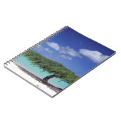 Carnet Caraïbes, Aruba. Plage d'Eagle (Côté gauche)