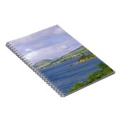Carnet Caraïbes, Saint-Kitts, Roseau. Côte. (Côté Droit)