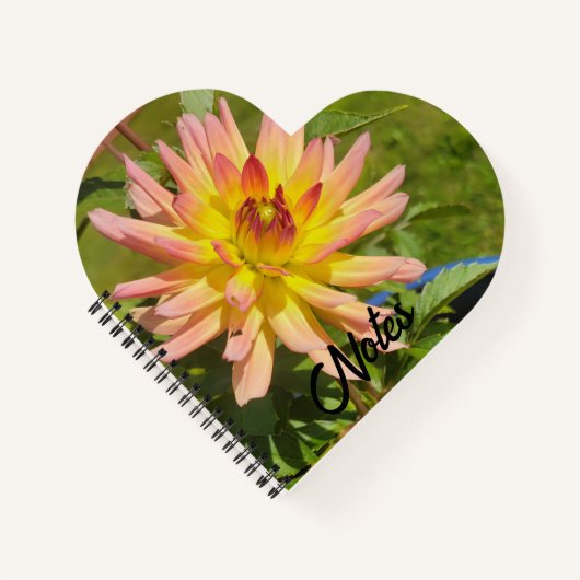 Carnet cardiaque Dahlia (Devant)